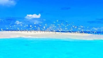 Playa en los alrededores