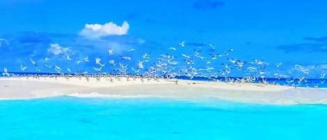 Playa en los alrededores