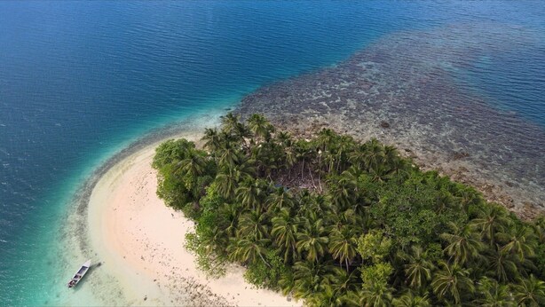 An aerial view of a tropical island with a sandy beach and dense palm trees.