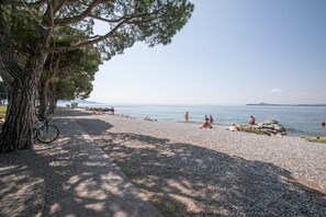 Une plage de galets avec des gens, un vélo et un arbre.