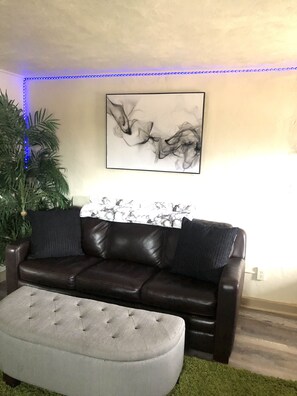 Televisión, chimenea y reproductor de DVD