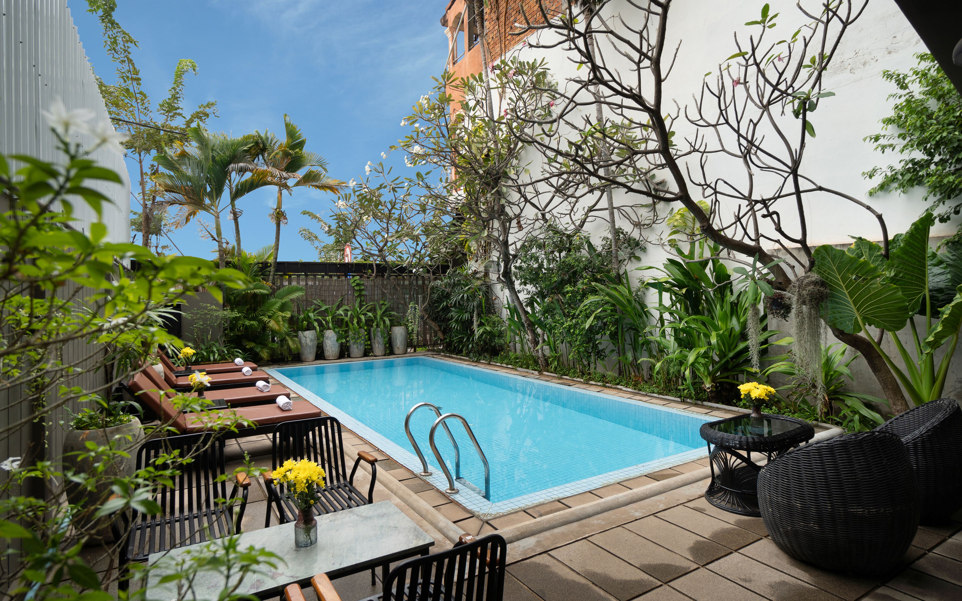 حمّام سباحة خارجي