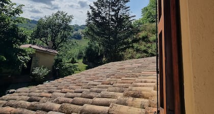 The Villa is surrounded by nature.