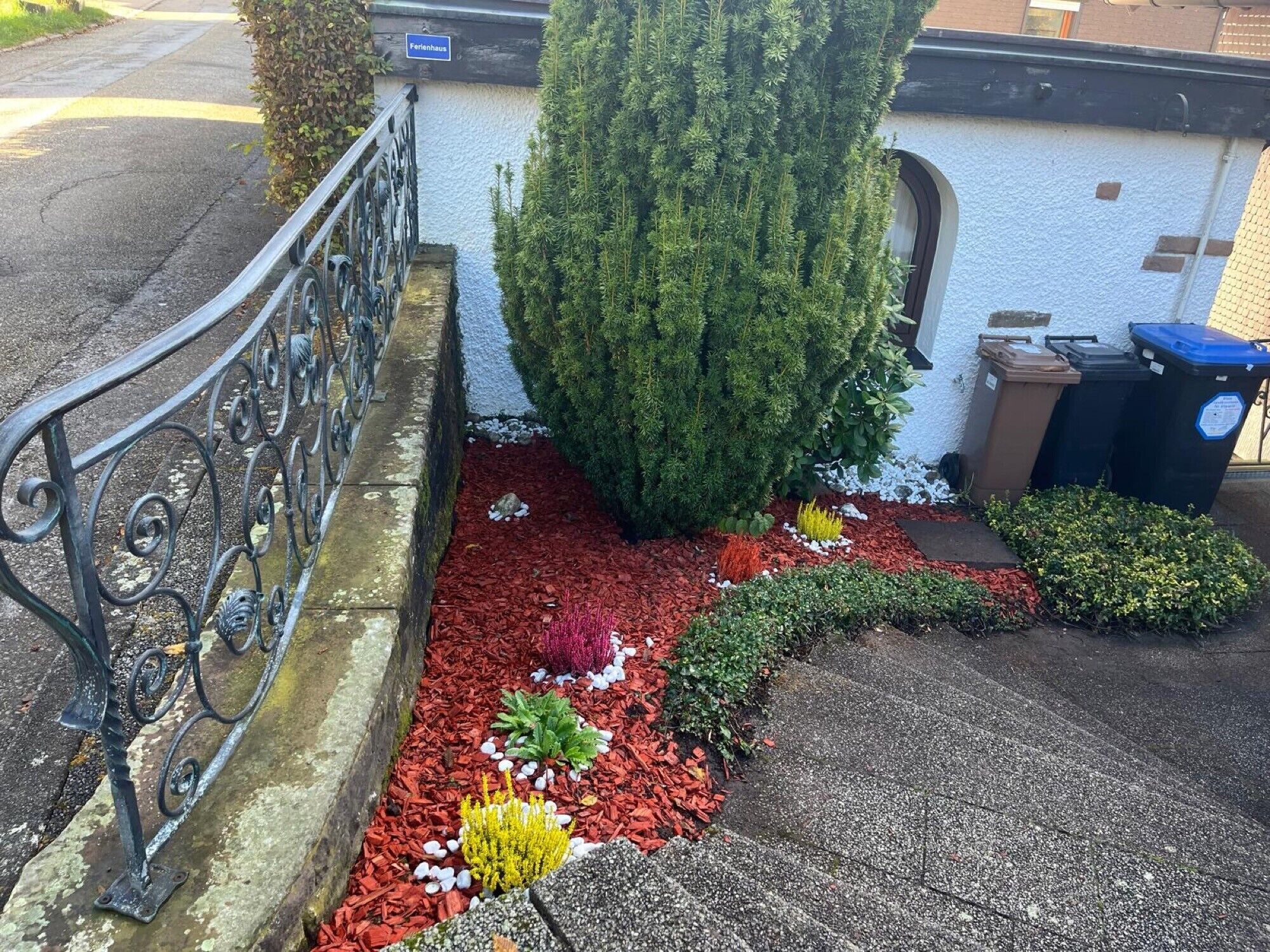 A garden with a metal fence, a tall coniferous tree, and a variety of colorful plants.