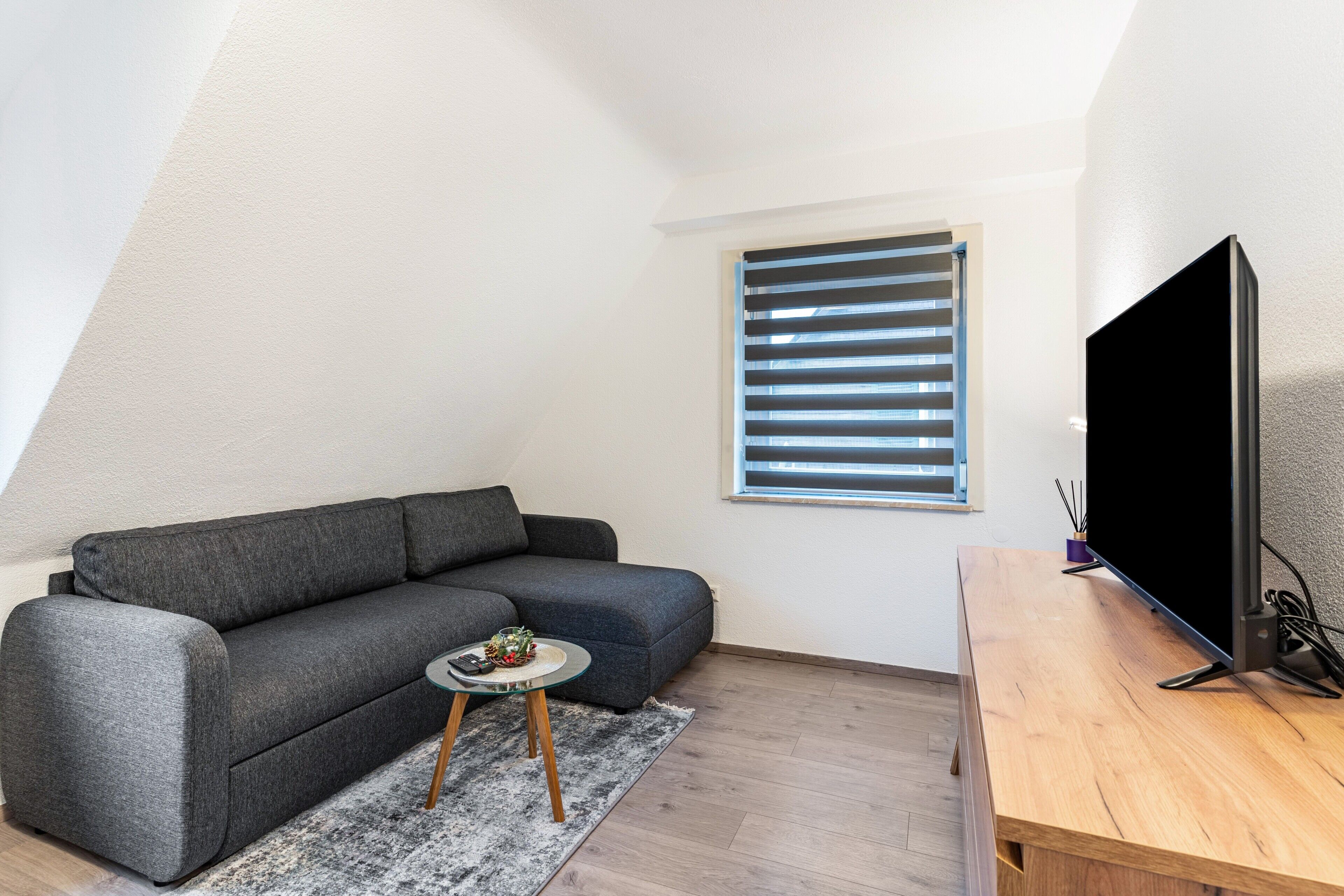 Fernseher
