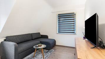 Fernseher