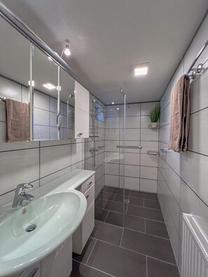 Shower, hair dryer, towels