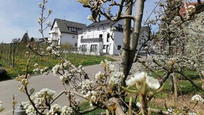 A residential building with a modern architectural style, a paved driveway, and a garden with blooming trees.
