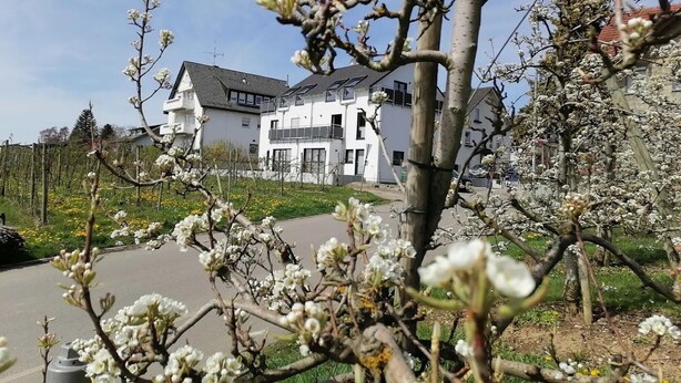 A residential building with a modern architectural style, a paved driveway, and a garden with blooming trees. - Sankt Bernhard Apartment for 3 Guests (Wasserburg (Bodensee))