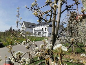 A residential building with a modern architectural style, a paved driveway, and a garden with blooming trees. - Sankt Bernhard Apartment for 3 Guests (Wasserburg (Bodensee))