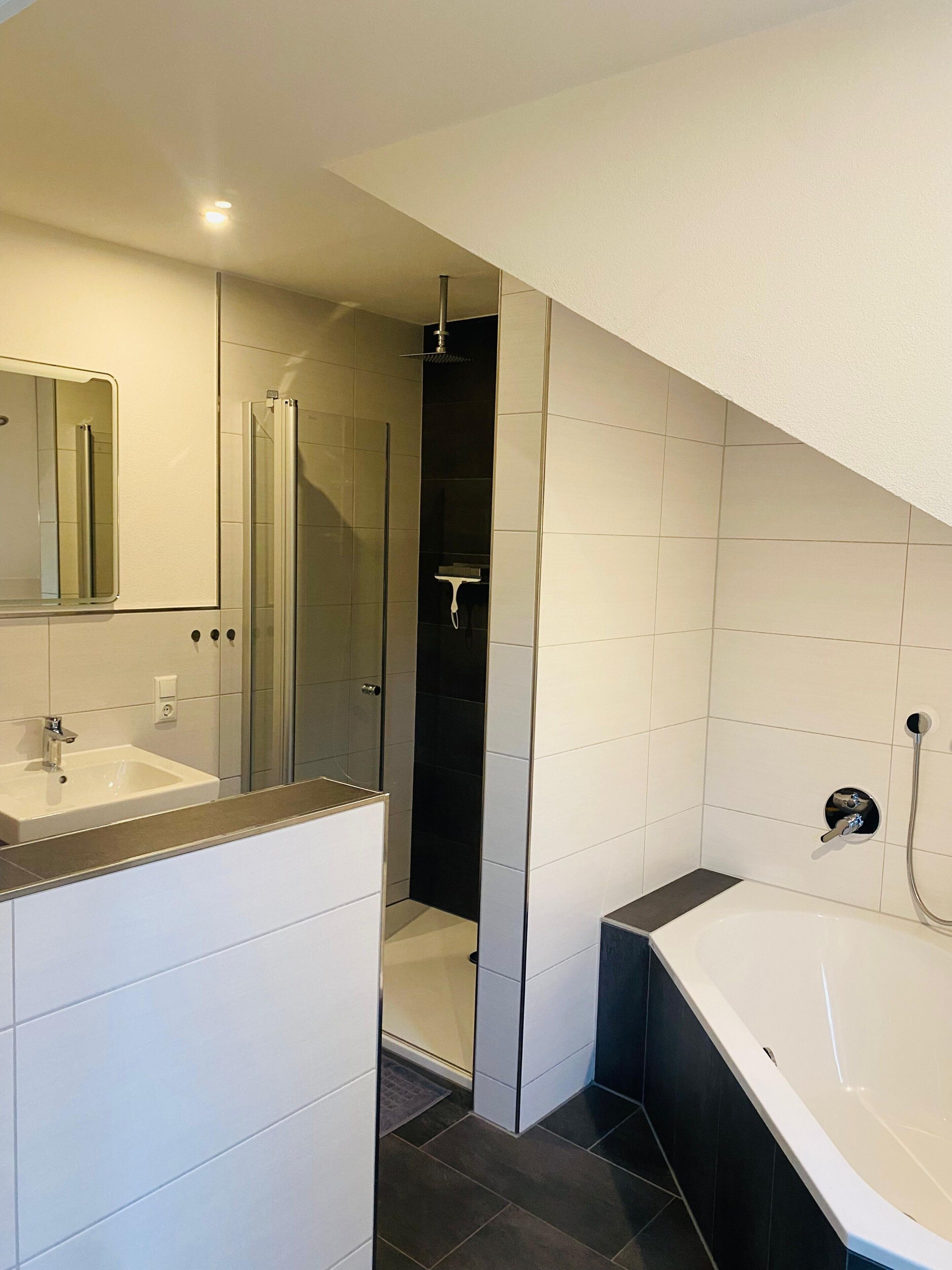 Een douche, gratis toiletartikelen, een haardroger, handdoeken