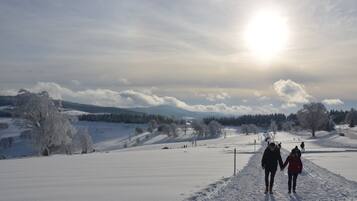Schneebedeckte Landschaft mit blauem Himmel und fernen Bergen.