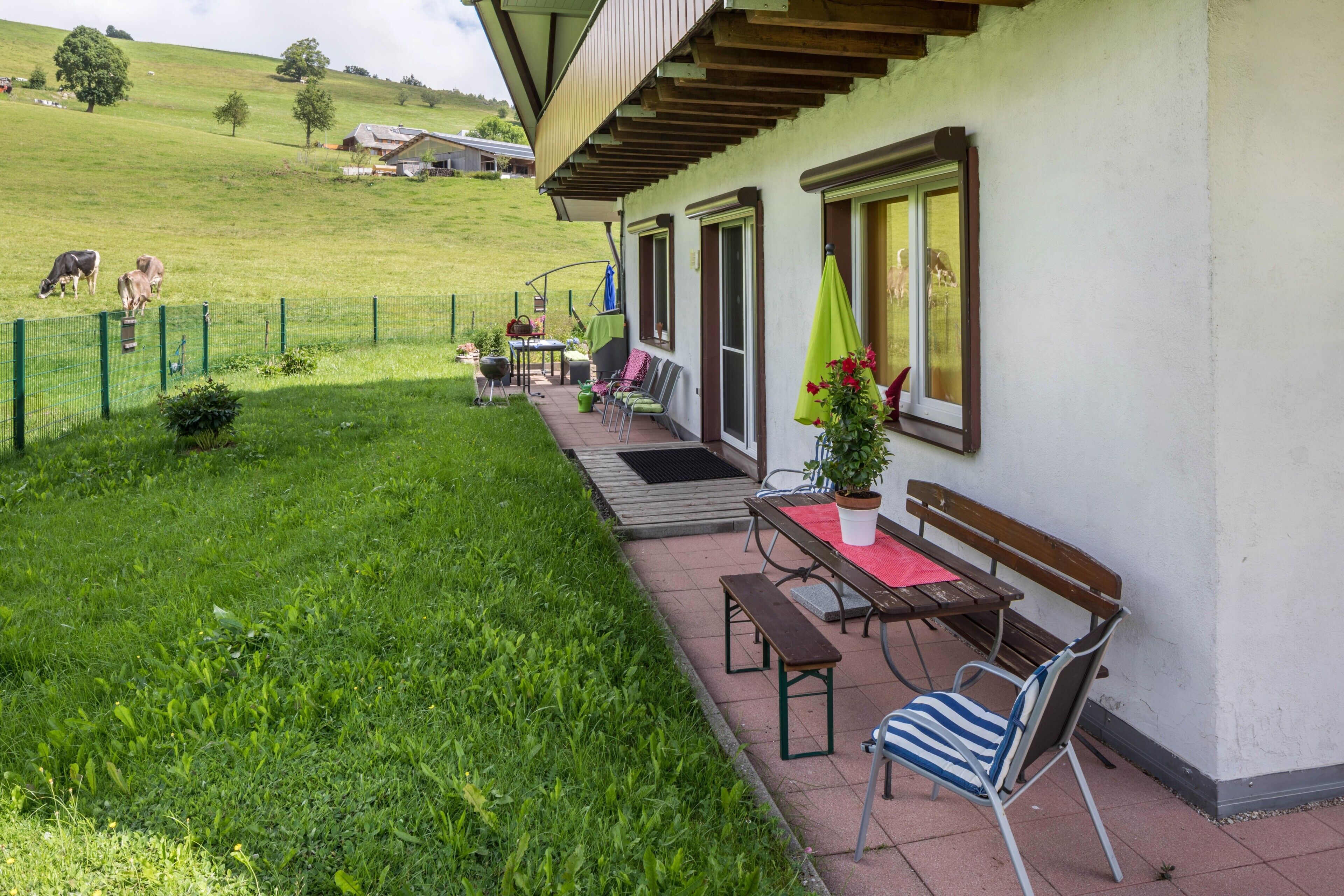 Ein Haus mit Terrasse, Tisch, Stühlen, einer Bank und einem eingezäunten Hof mit Kühen.