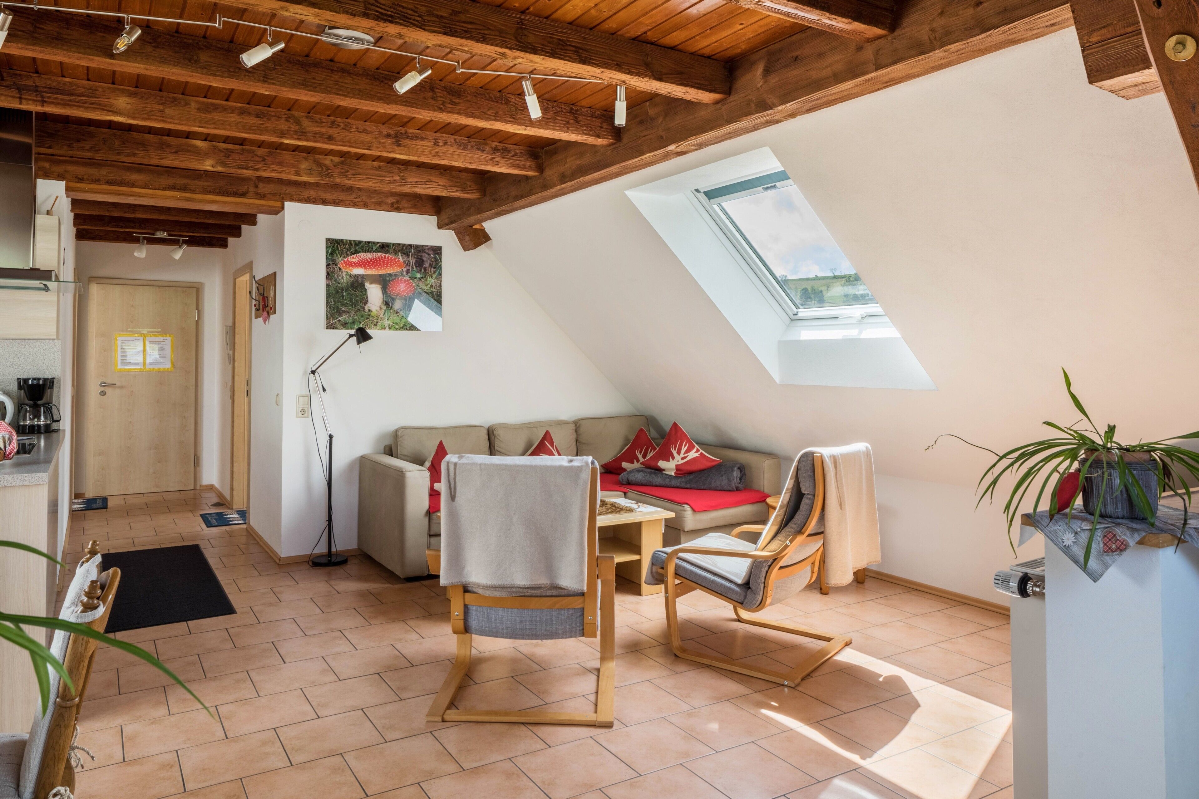 TV, DVD player, stereo