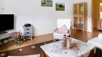 Fernseher, DVD-Player, Stereoanlage