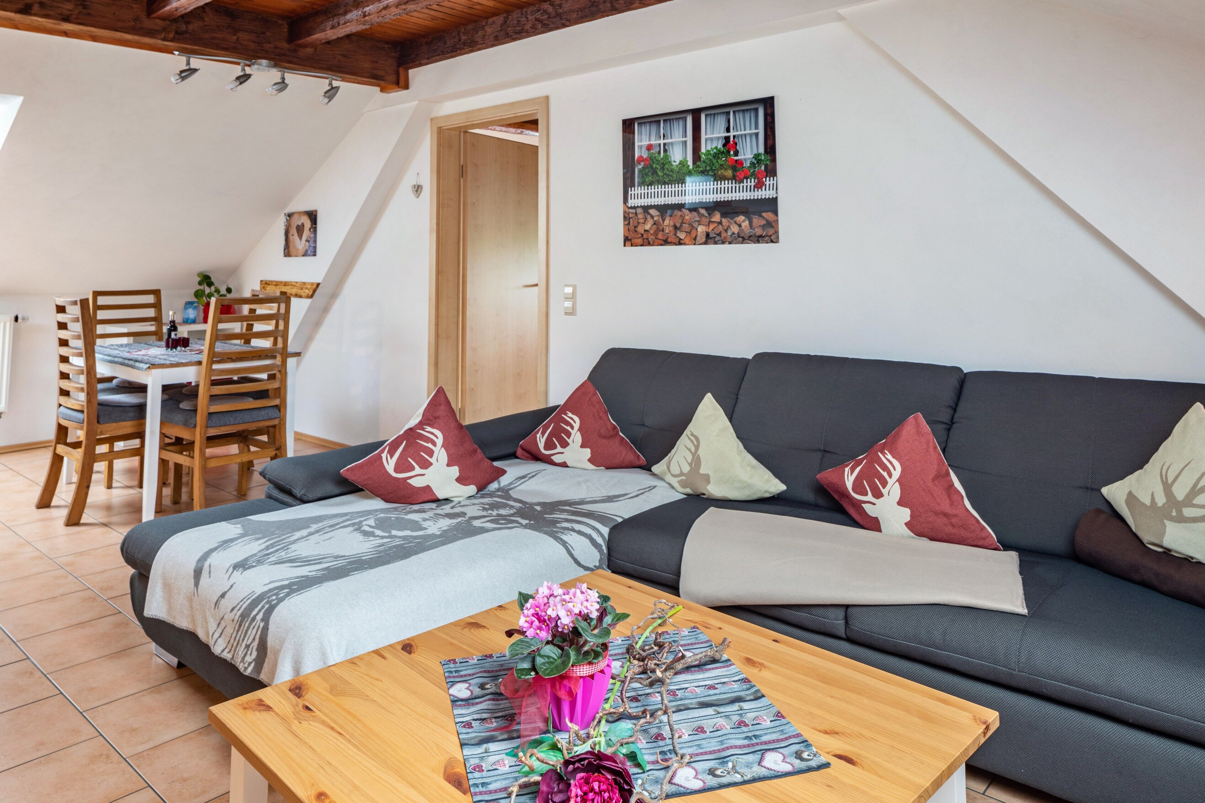 TV, DVD player, stereo