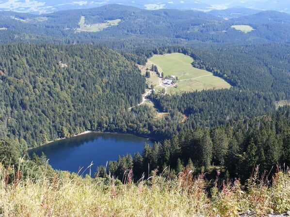 Un lago rodeado de un bosque denso, un pequeño edificio y un cielo despejado.