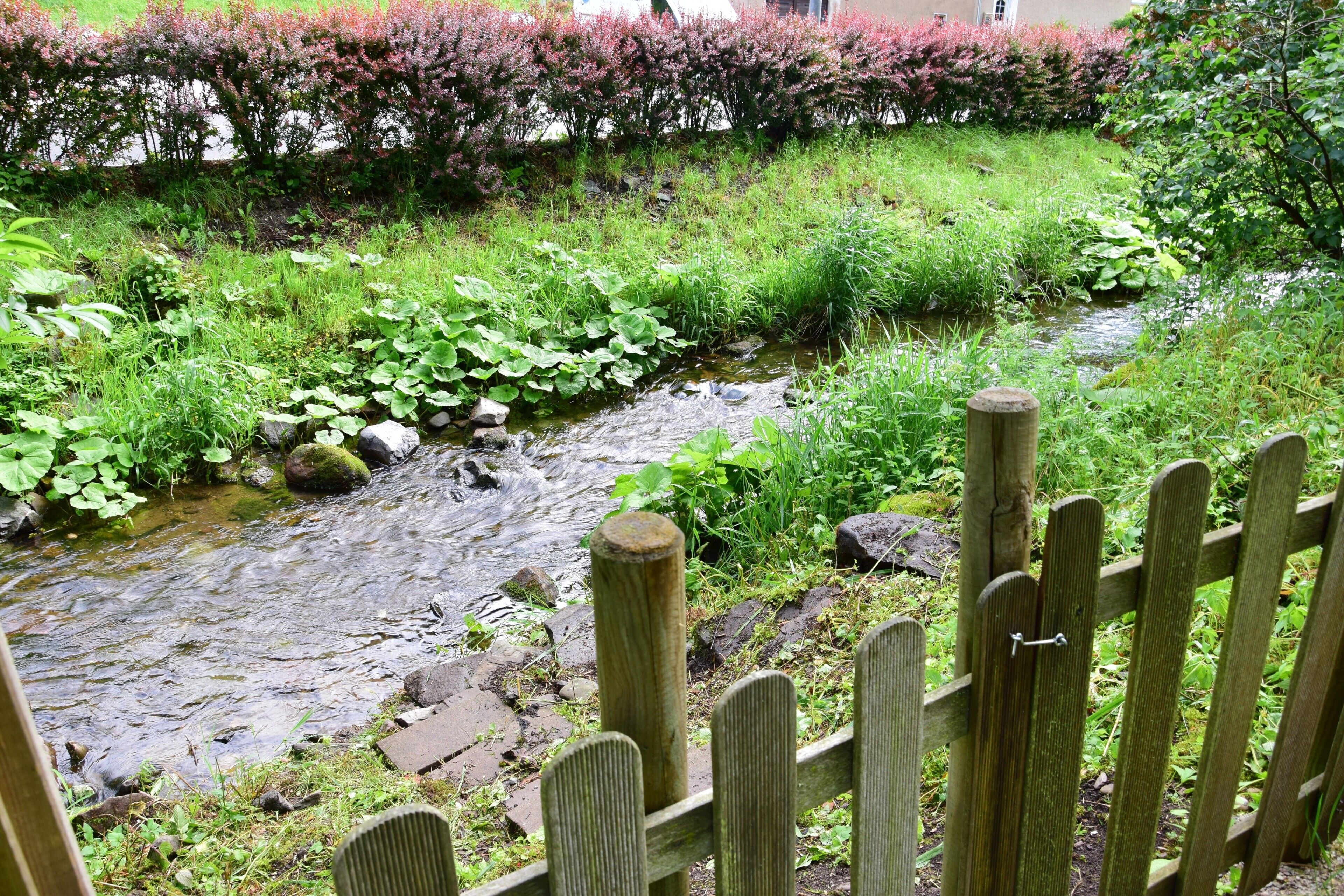 Un jardín con un arroyo, valla de madera y abundante vegetación.