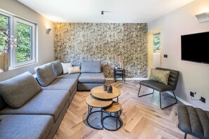 TV - Vacation home Haus Waldberg with large garden and covered veranda (Unterschönau)