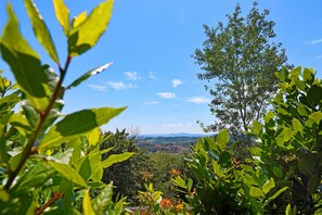 A view of a lush green landscape with a clear blue sky. - Tuscan Home Panoramic Hills Private Terrace (Rignano sull'Arno)