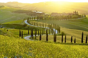 Exterior - Tuscan Home Panoramic Hills Private Terrace (Rignano sull'Arno)
