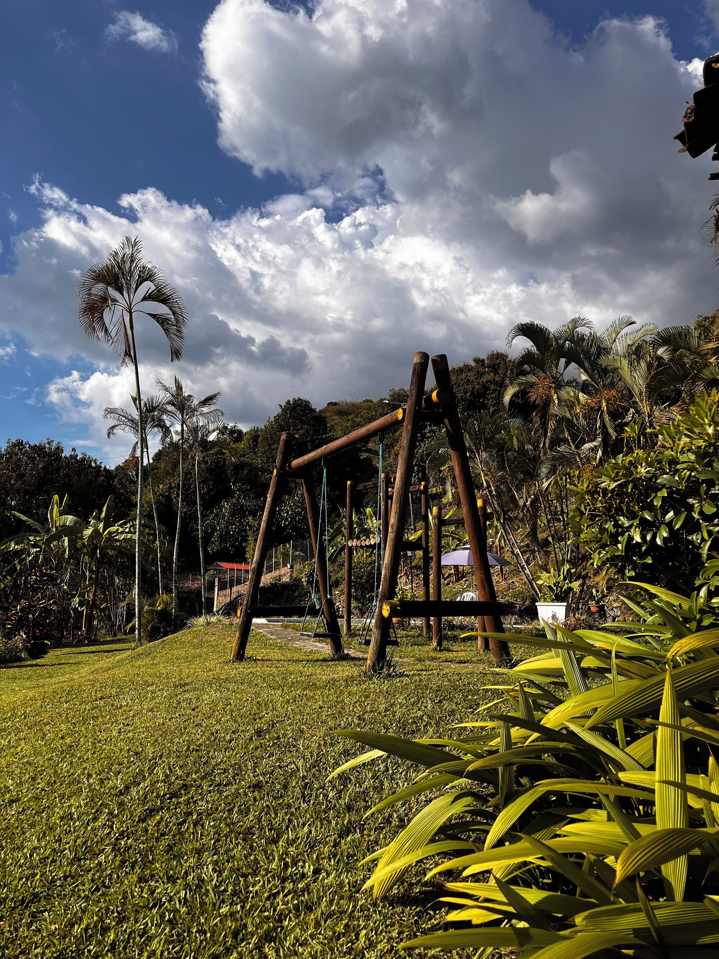 A playground with swings and a grassy area, surrounded by palm trees and other vegetation.