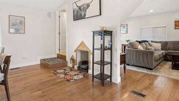 TV, fireplace, DVD player, books