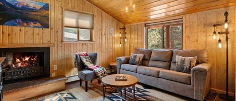 TV, fireplace, DVD player, books