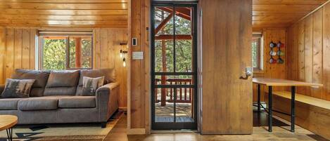 TV, fireplace, DVD player, books