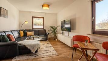 Smart TV, fireplace, books