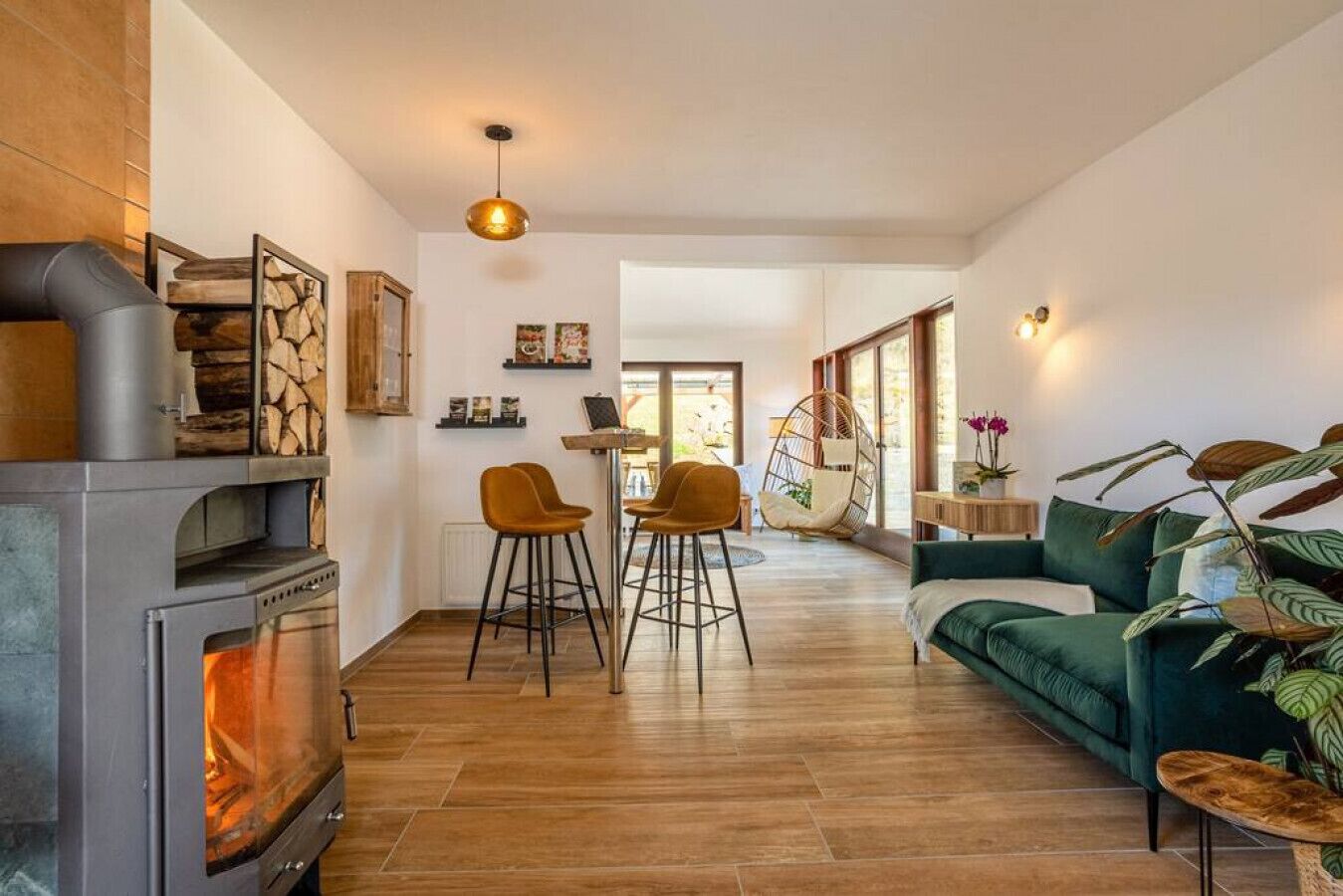 Smart TV, fireplace, books