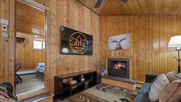 电视、壁炉、DVD 播放器、办公室