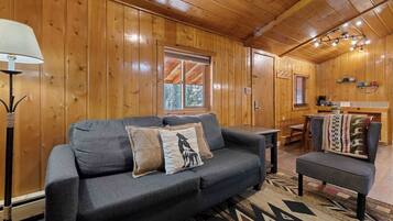 电视、壁炉、DVD 播放器、办公室