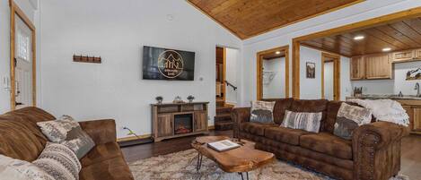 Fernseher, Kamin, Bücher, Arbeitsbereiche