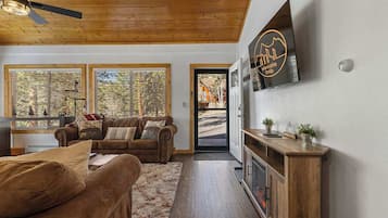 TV, fireplace, offices