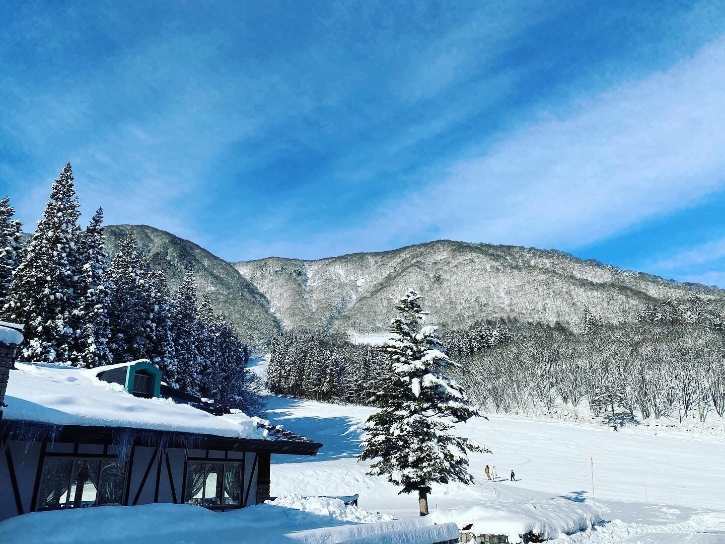 Eine verschneite Berglandschaft mit einer Hütte und Bäumen.