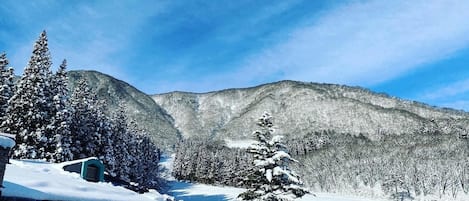 Eine verschneite Berglandschaft mit einer Hütte und Bäumen.