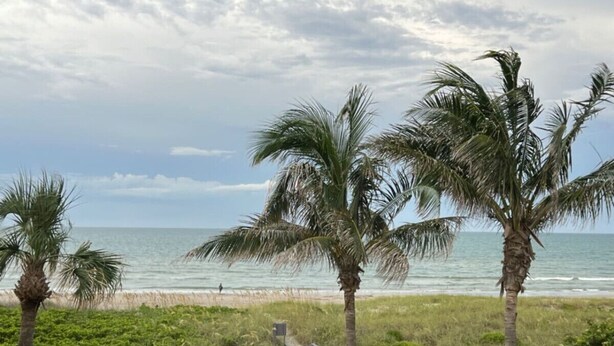 A beach with palm trees and a railing overlooking the ocean. - Sea Oats 3BR-Direct Beach Access with Pool (Cocoa Beach)