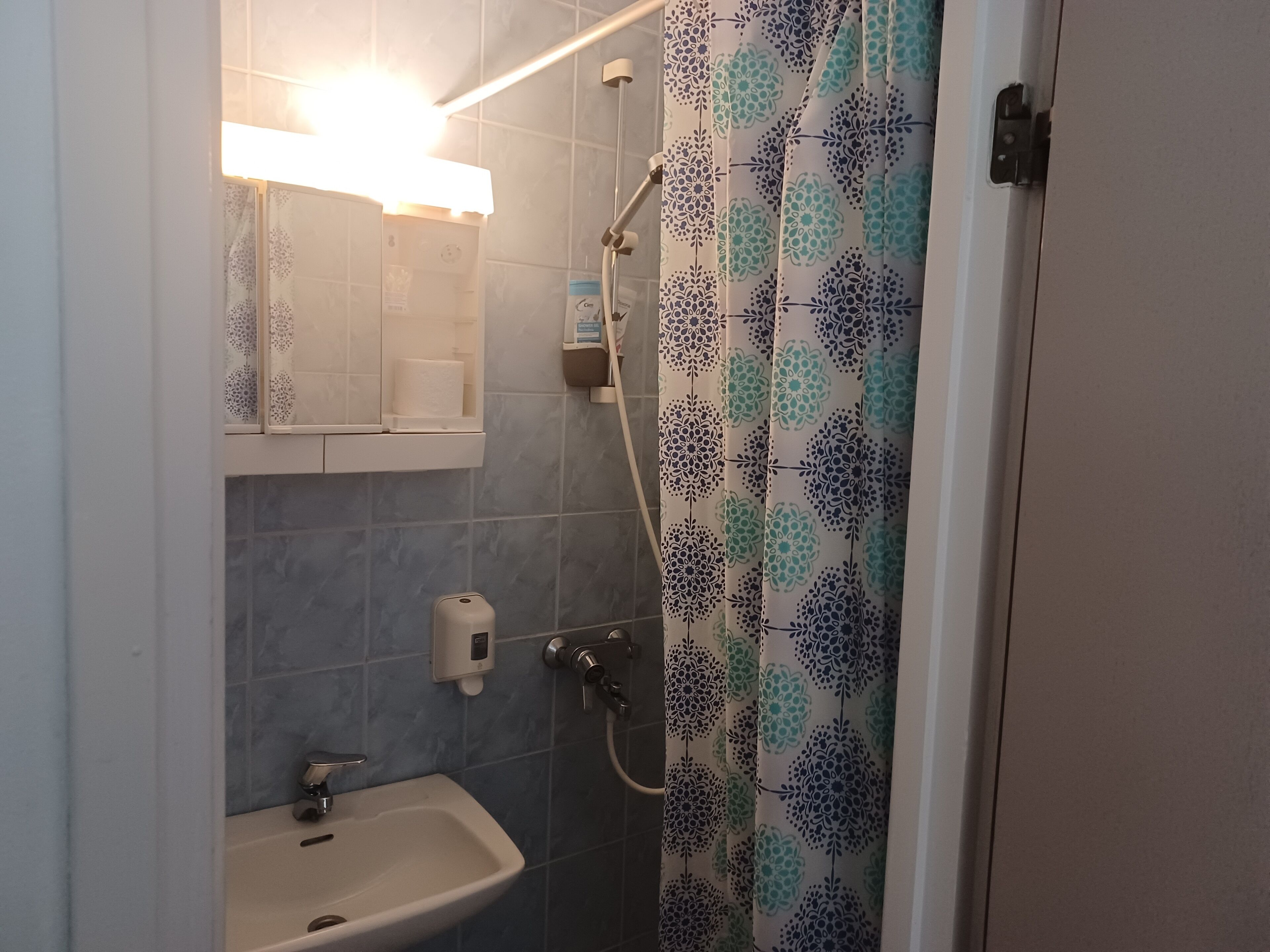 A bathroom with a sink, a toilet paper holder, a shower curtain, and a towel rack.