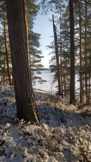 Exterior - Hotelli Ikahani (Ikaalinen)