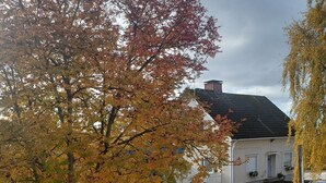 A residential street with a white house, a tree with autumn leaves, and a white fence. - Hotelli Ikahani  (Ikaalinen)
