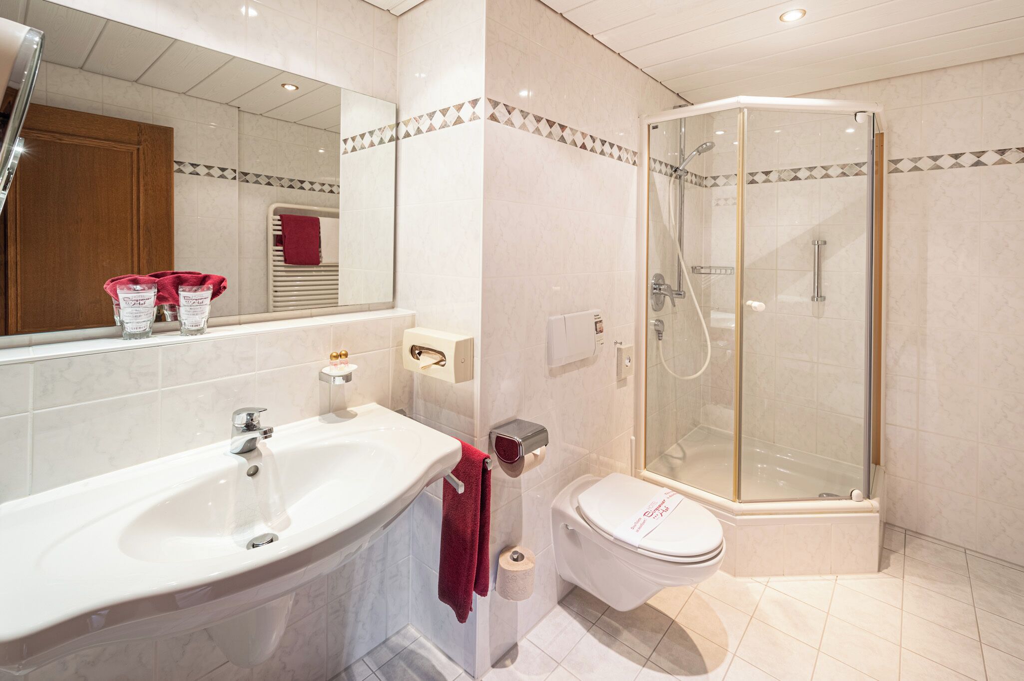 A modern bathroom with a large white sink, a glass-enclosed shower, and a toilet.