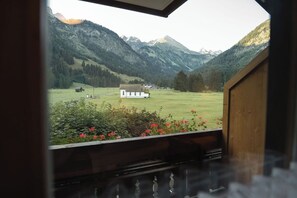 View from room - Birgsau (Oberstdorf)