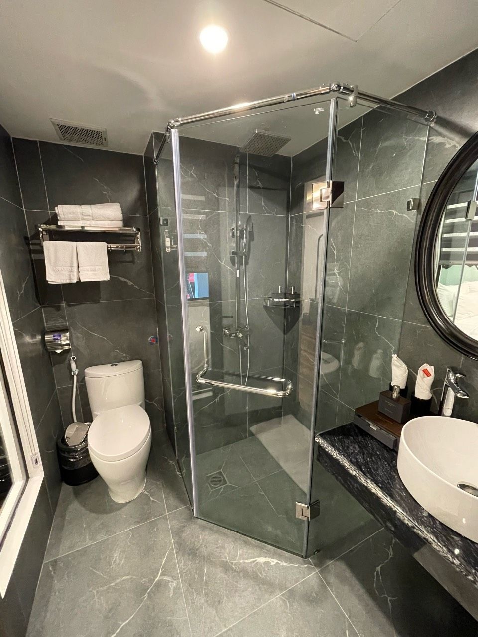 A modern bathroom with a glass-enclosed shower, a toilet, and a sink.