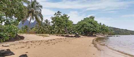 On the beach