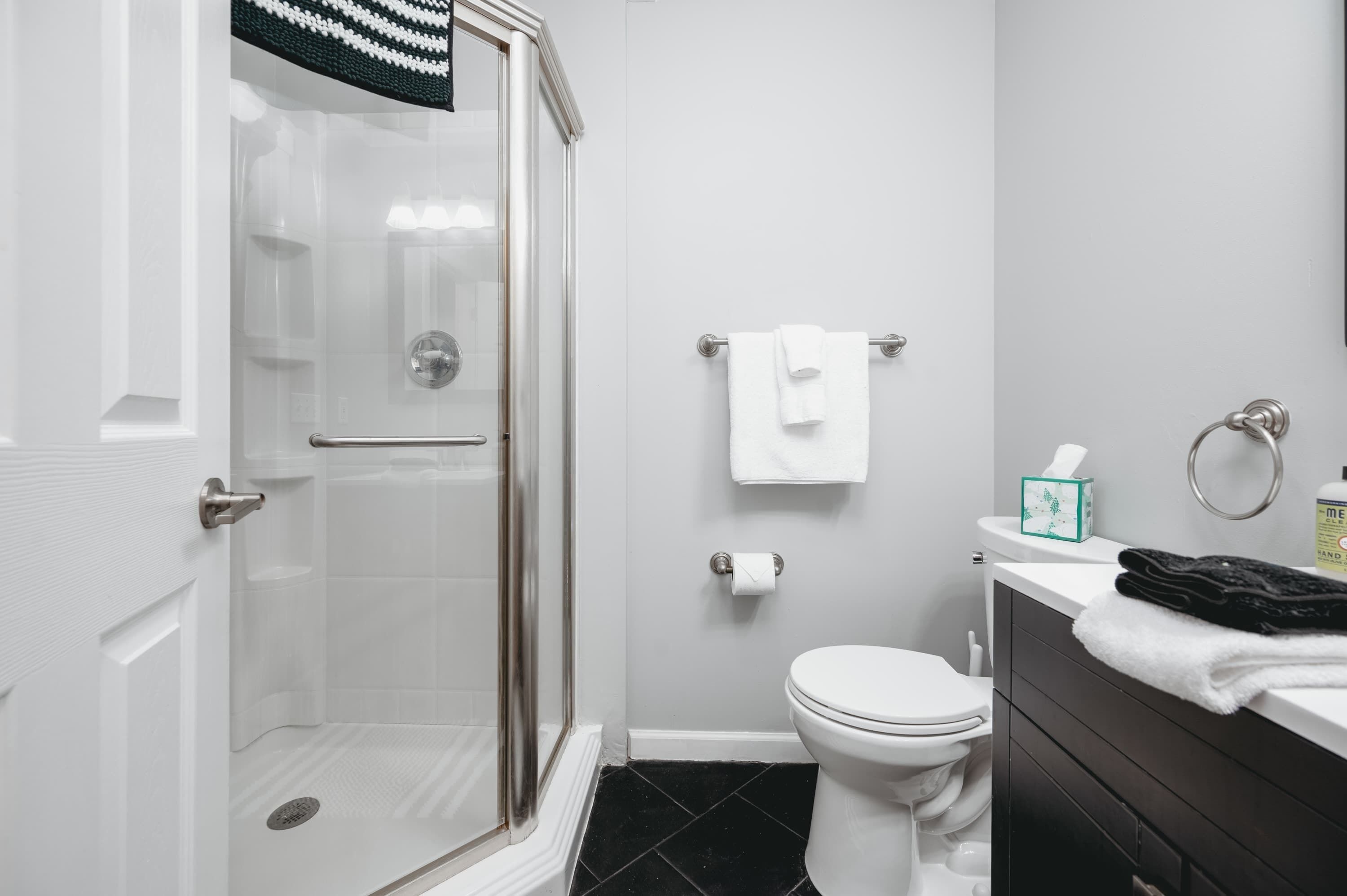 Shower, hair dryer, towels, shampoo