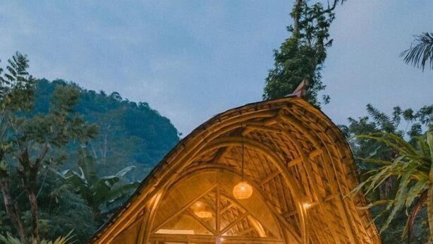 Una estructura con techo de paja y puerta de cristal, rodeada de abundante follaje y un sendero de piedra.