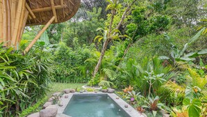 Un jardín con una pequeña piscina rodeada de rocas y abundante vegetación.