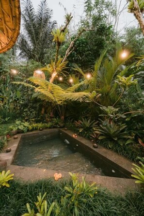 Un exuberante jardín con un pequeño estanque, rodeado de abundante follaje tropical e iluminado con luces colgantes.