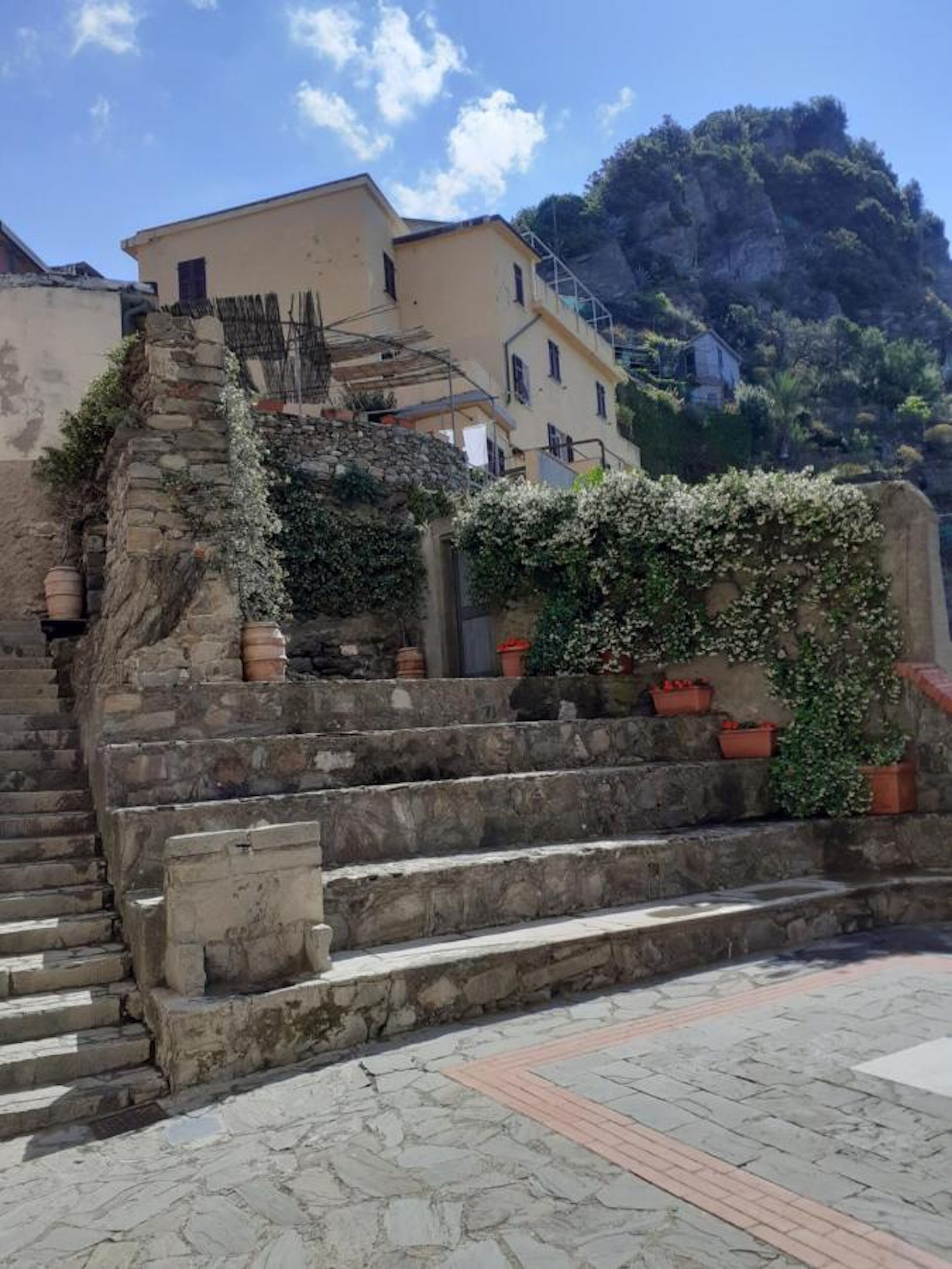 Uma escadaria de pedra leva a um edifício com vista para uma colina.